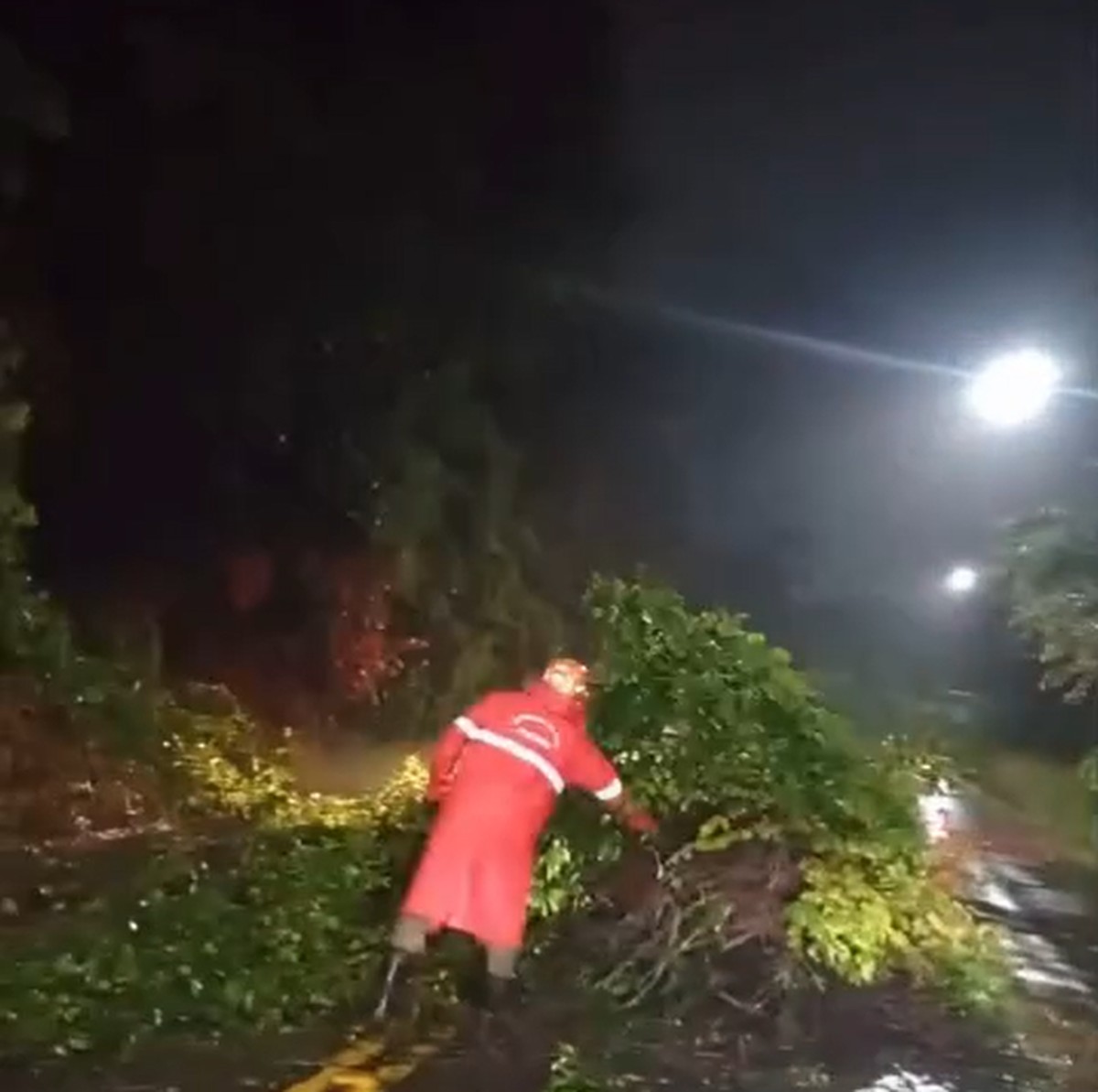 Queda de árvore e ruas alagadas: chuvas intensas provocam transtornos em João Pessoa e região metropolitana
